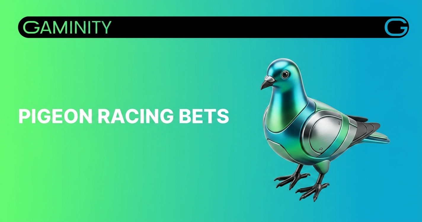 Pigeon Racing Turns Niche Sport Into High-Value Betting